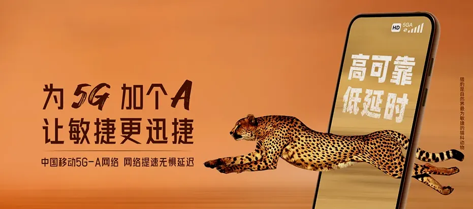 什玲保亭黎族苗族自治县什玲镇 移动宽带
