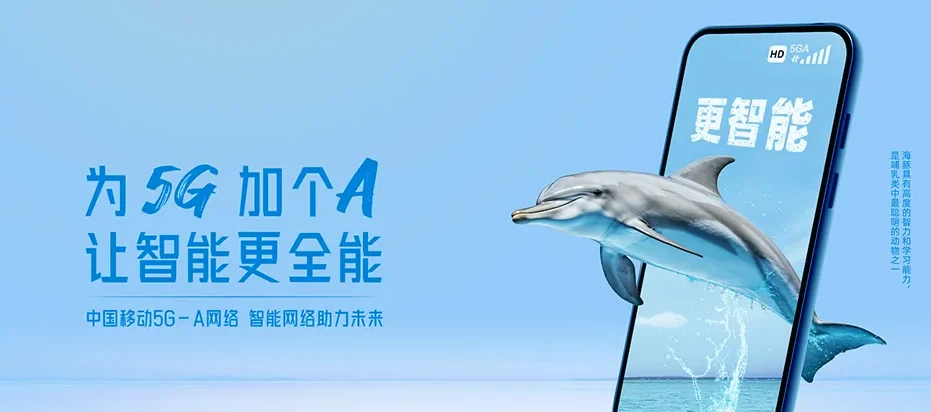 什玲保亭黎族苗族自治县什玲镇 移动宽带